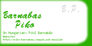 barnabas piko business card