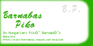 barnabas piko business card